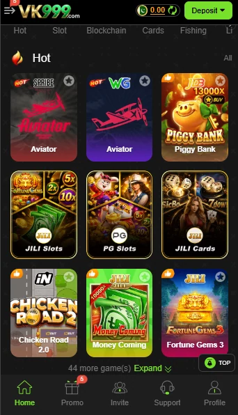 interface VK999 Game